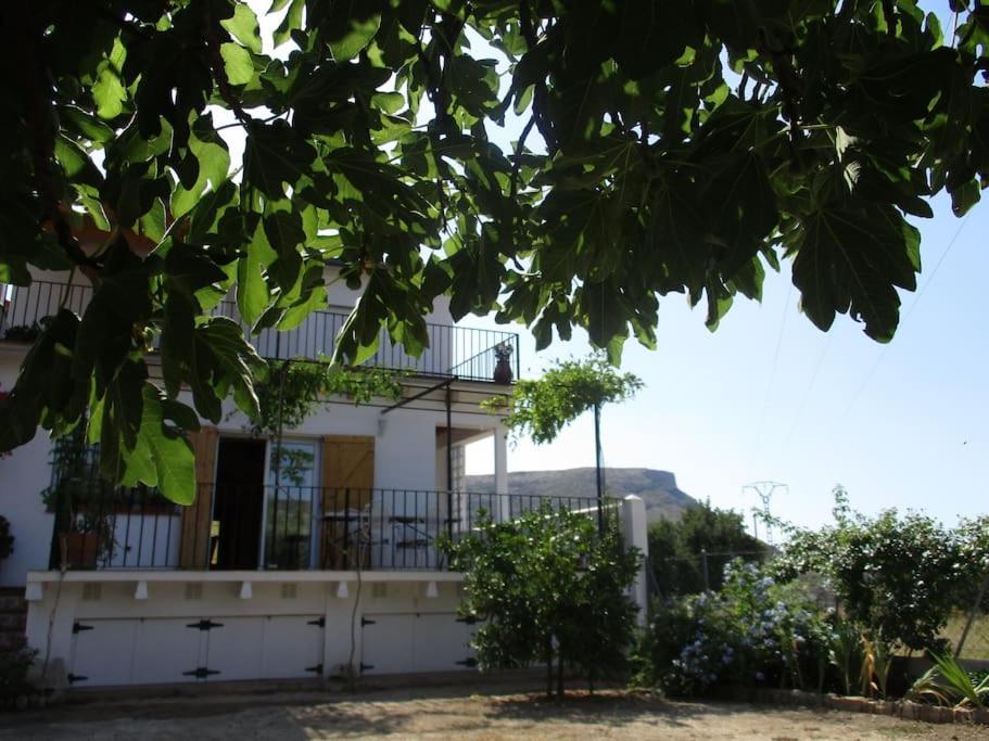 Ferienhaus Casa La Higuera