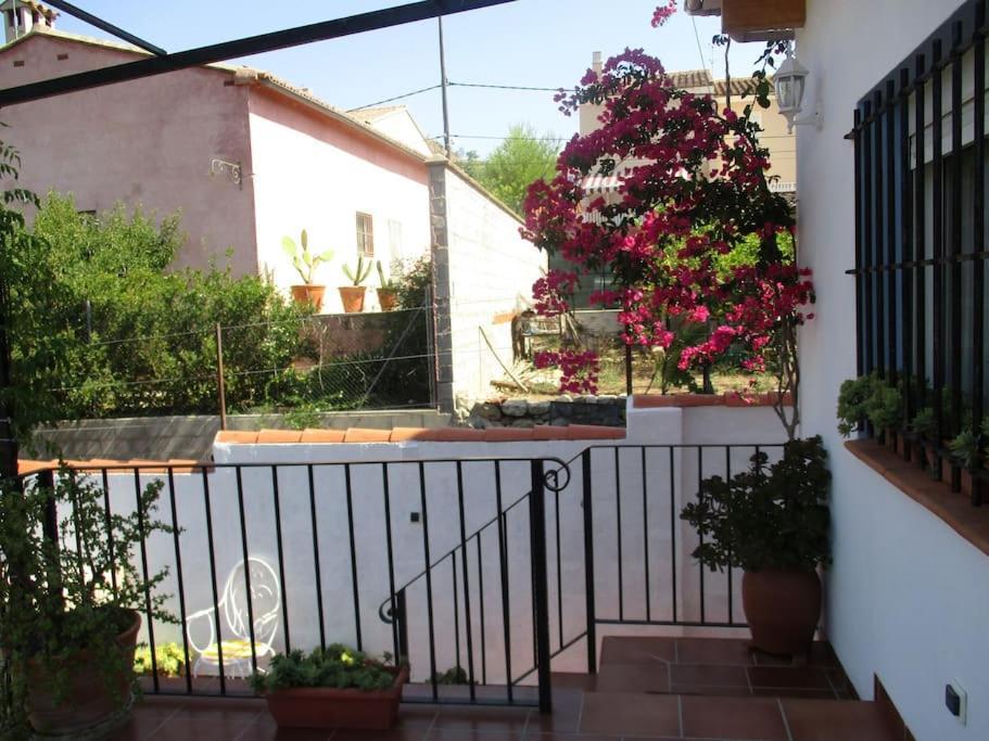 Ferienhaus Casa La Higuera Chulilla