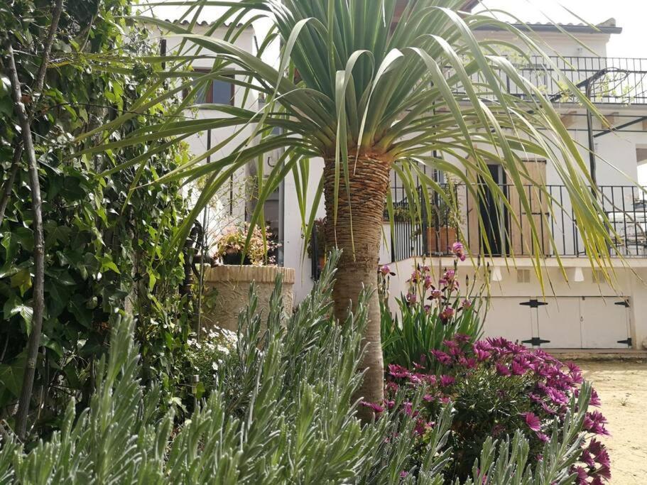 Casa La Higuera Ferienhaus