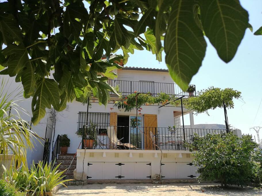 Ferienhaus Casa La Higuera *
